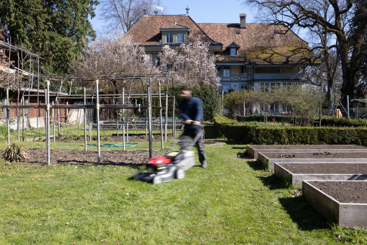 In der Arbeitsintegration wie auch in der Freizeit kann verschiedenen Aktivitäten, wie der Gartenpflege, nachgegangen werden. 