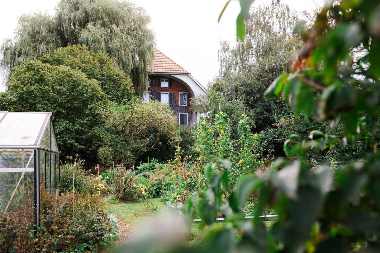 Zum Umschwung des Schwandenguts gehört ein grosser Garten mit Gemüsebeeten, Treibhaus und Fruchtbäumen, wo bepflanzt, gegossen und geerntet wird.